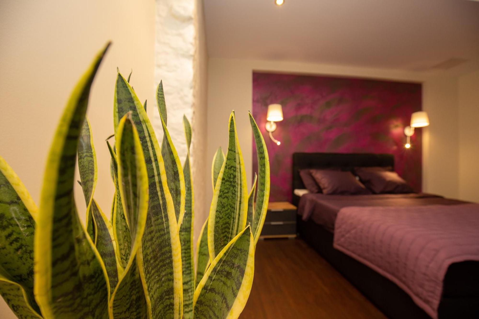 P54 Apartment Paide Esterno foto